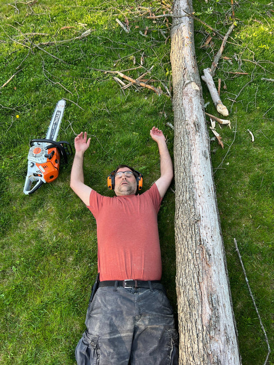 10 Best Ways to Reuse Your Storm Damaged Tree - Makers Workshop