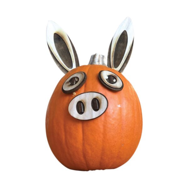 Mr. Pumpkin Head Downloadable Files - Makers Workshop