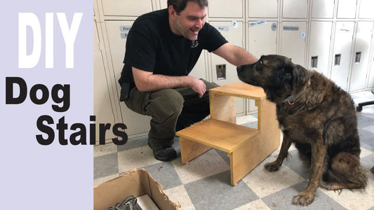 How to Make Dog Stairs Woodworking Projects - Makers Workshop
